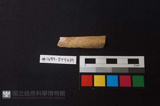 獸骨藏品圖，第1張