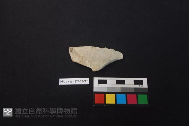 陶片藏品圖，第1張