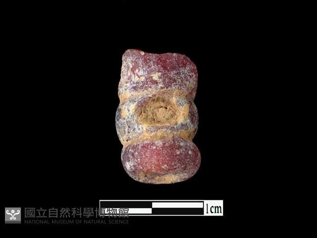 玻璃珠藏品圖，第1張