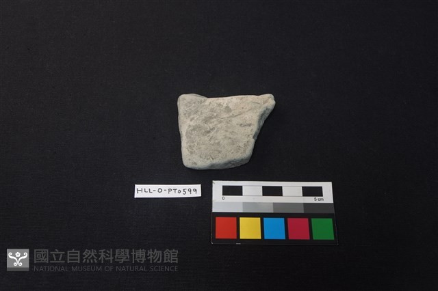 陶片藏品圖，第1張