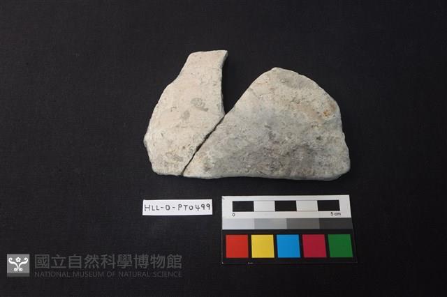 陶片藏品圖，第1張