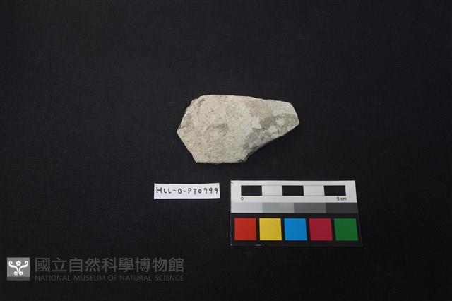 陶片藏品圖，第1張