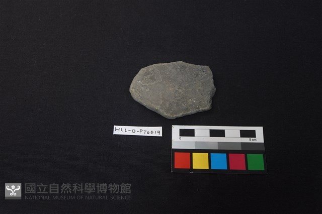 陶片藏品圖，第1張