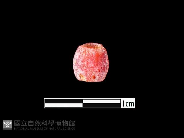 玻璃珠藏品圖，第1張