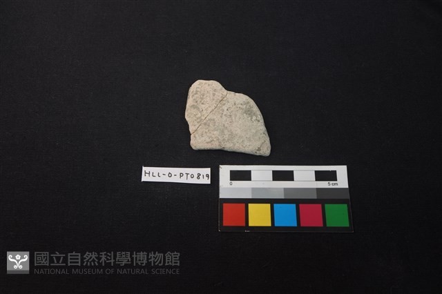 陶片藏品圖，第1張