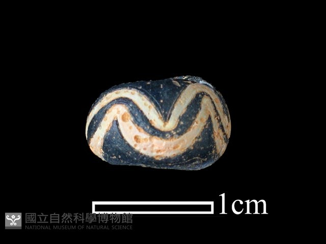 玻璃珠藏品圖，第1張