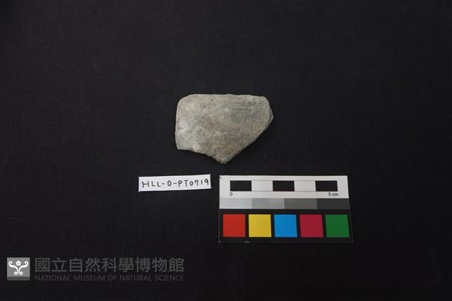 陶片藏品圖，第1張