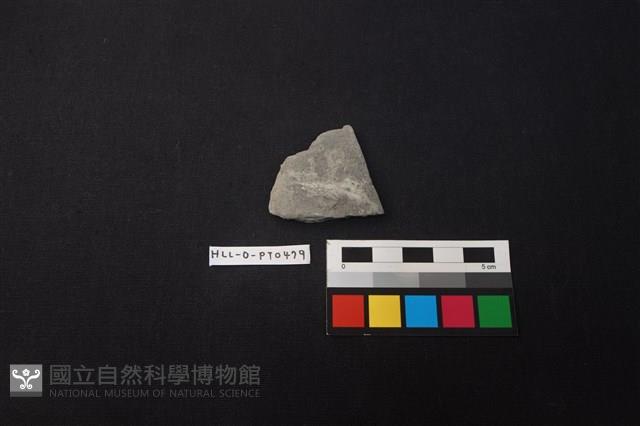 陶片藏品圖，第1張