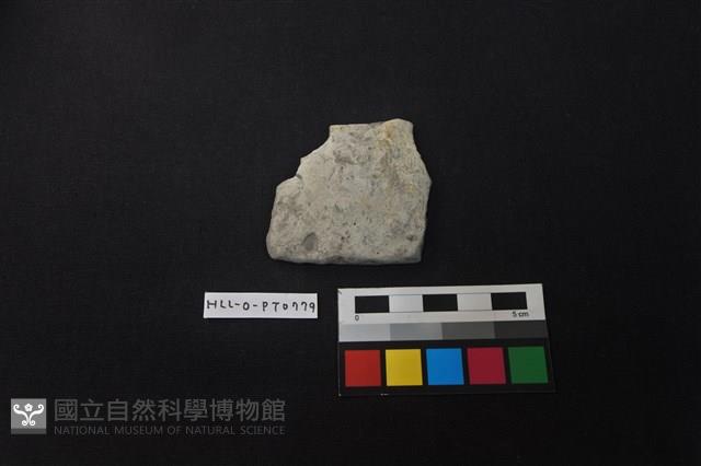 陶片藏品圖，第1張