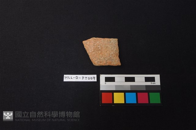 陶片藏品圖，第1張