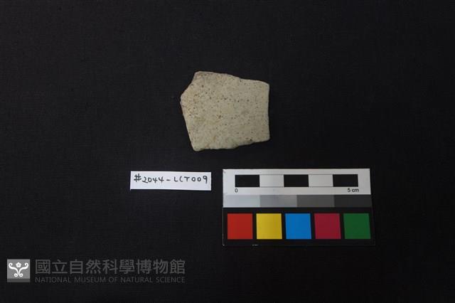 陶片藏品圖，第1張