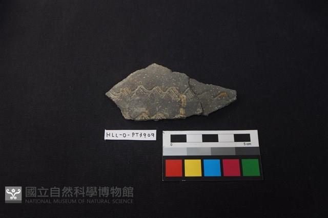 陶片藏品圖，第1張