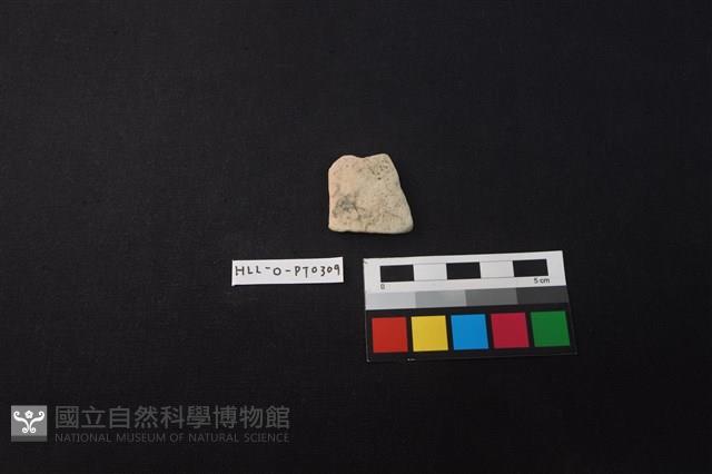 陶片藏品圖，第1張