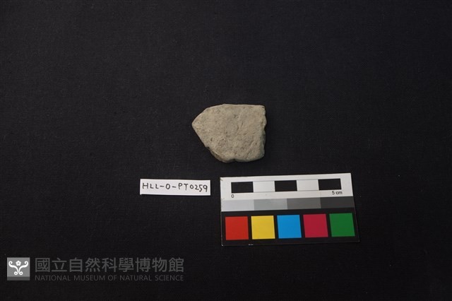 陶片藏品圖，第1張