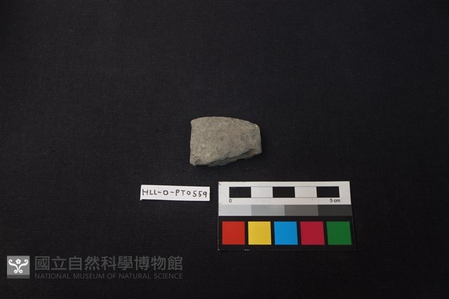 陶片藏品圖，第1張