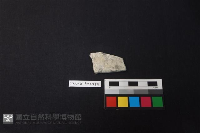 陶片藏品圖，第1張