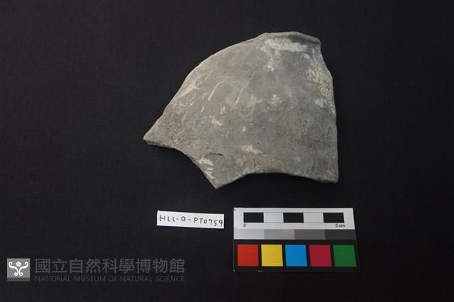 陶片藏品圖，第1張