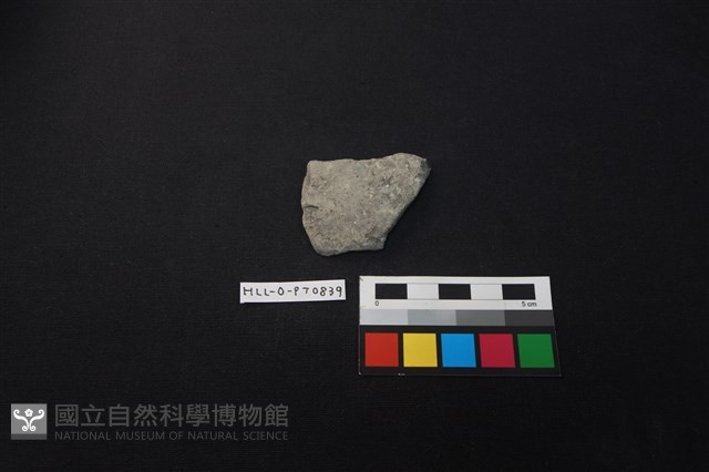 陶片藏品圖，第1張