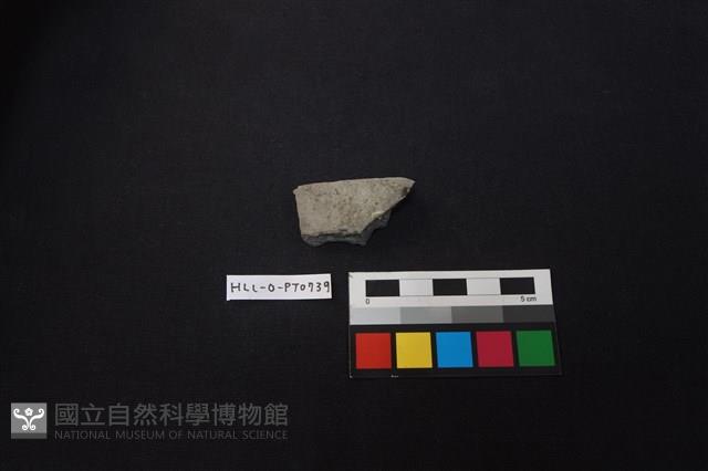 陶片藏品圖，第1張