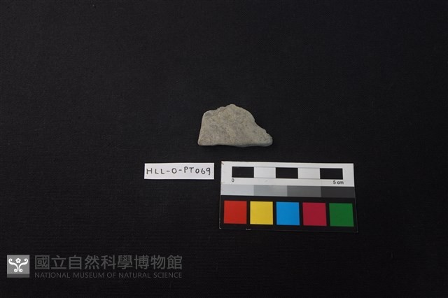 陶片藏品圖，第1張