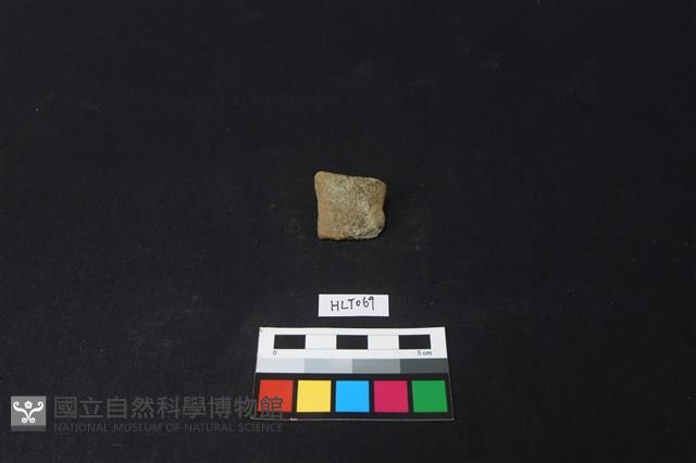 陶片藏品圖，第1張