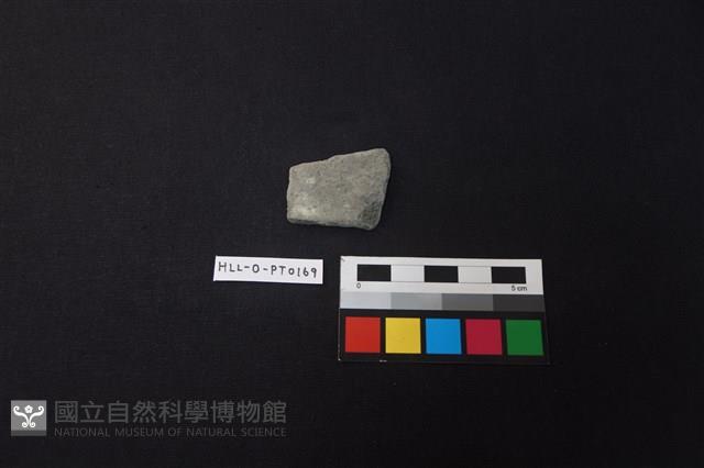 陶片藏品圖，第1張