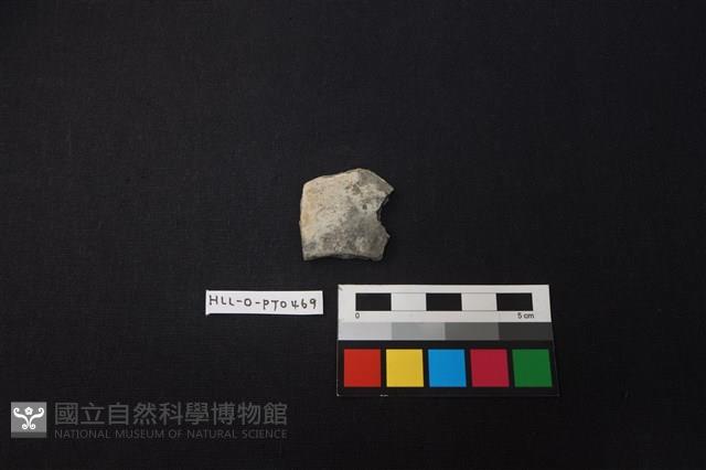 陶片藏品圖，第1張