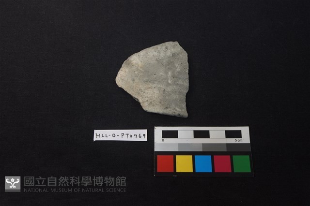 陶片藏品圖，第1張