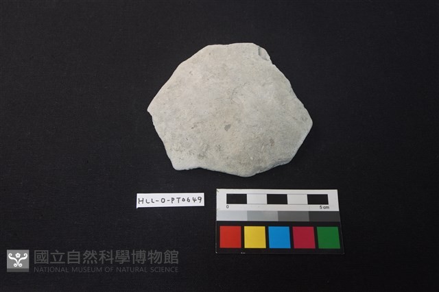 陶片藏品圖，第1張