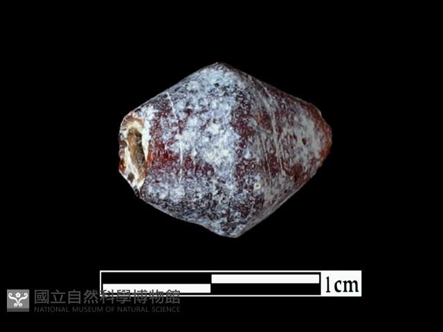 玻璃珠藏品圖，第1張