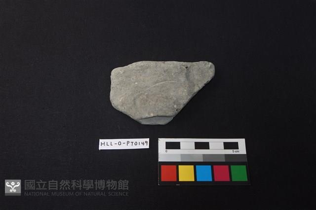 陶片藏品圖，第1張