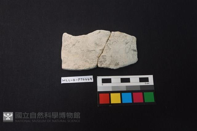 陶片藏品圖，第1張