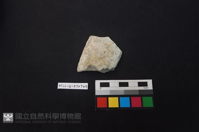 陶片藏品圖，第1張