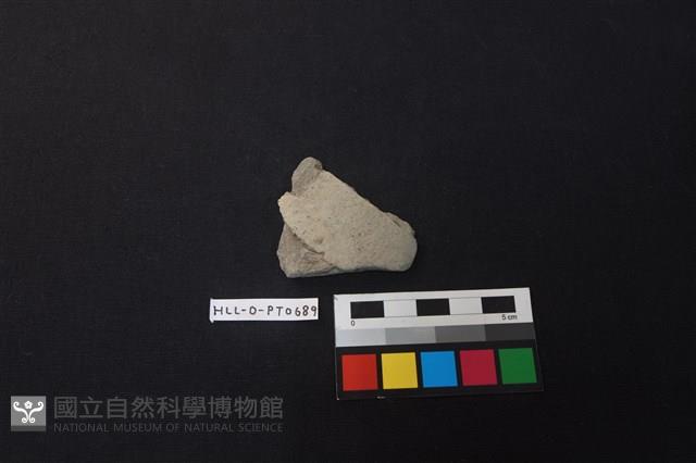 陶片藏品圖，第1張