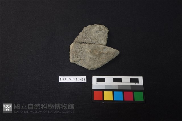 陶片藏品圖，第1張
