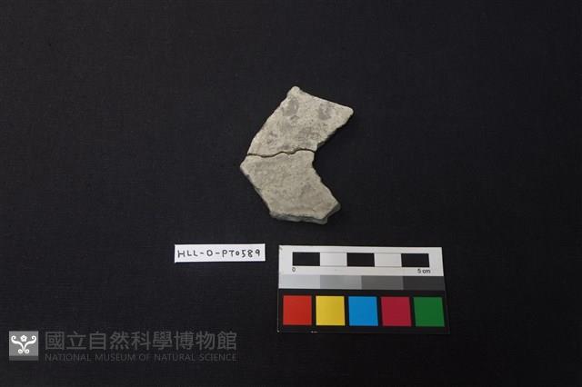 陶片藏品圖，第1張