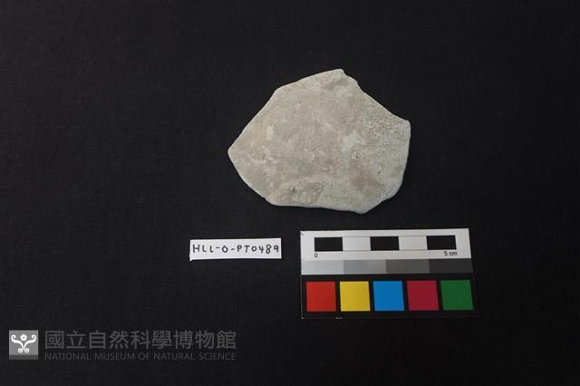 陶片藏品圖，第1張