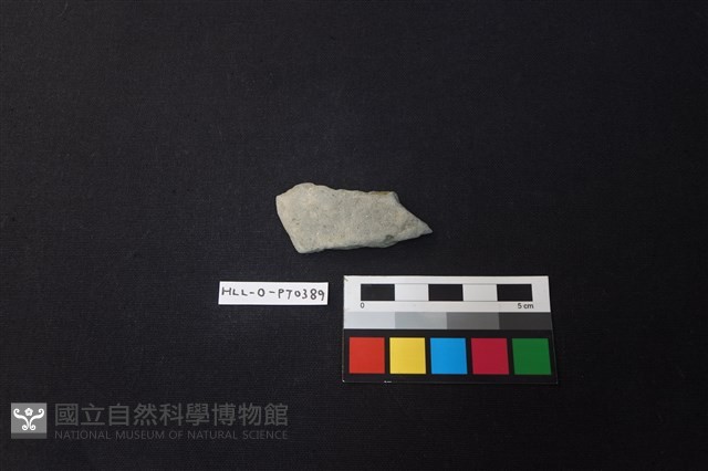 陶片藏品圖，第1張