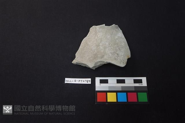 陶片藏品圖，第1張