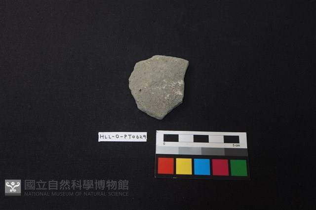 陶片藏品圖，第1張