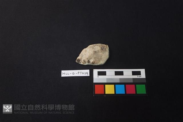 陶片藏品圖，第1張