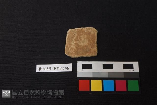 陶片藏品圖，第1張