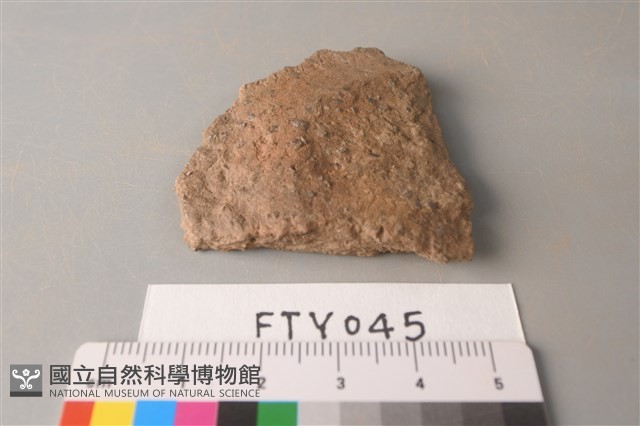 陶片藏品圖，第1張