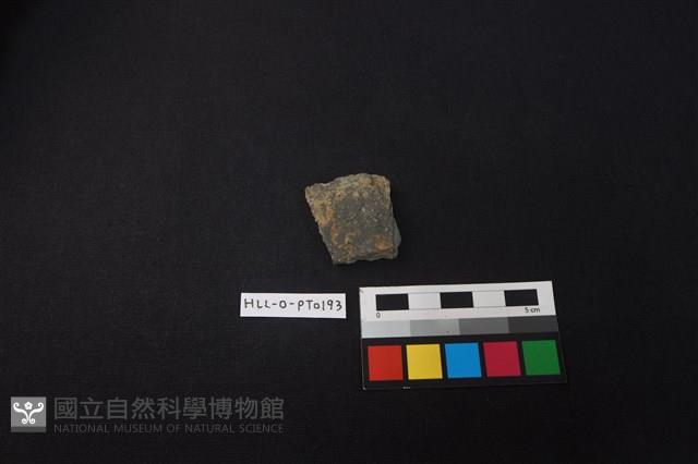 陶片藏品圖，第1張