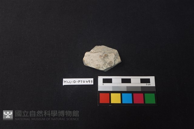 陶片藏品圖，第1張