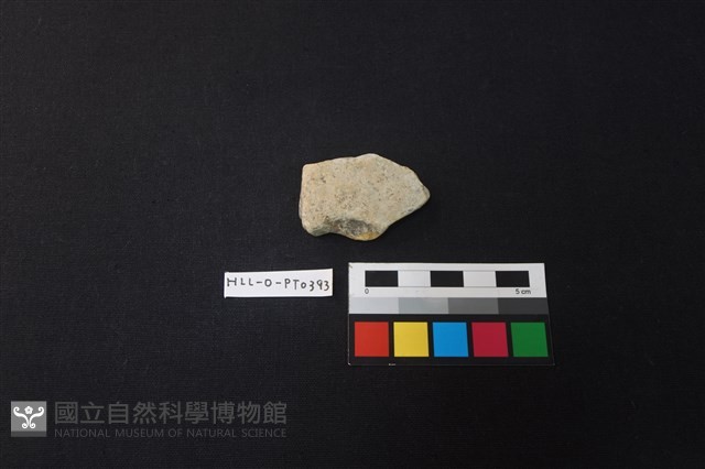 陶片藏品圖，第1張