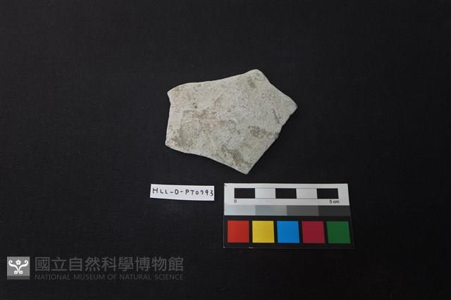 陶片藏品圖，第1張