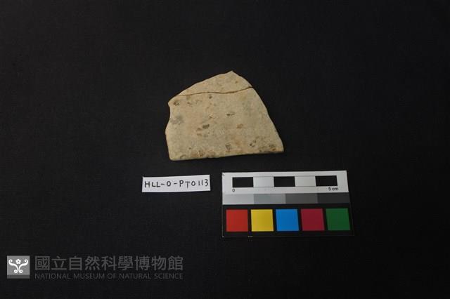 陶片藏品圖，第1張