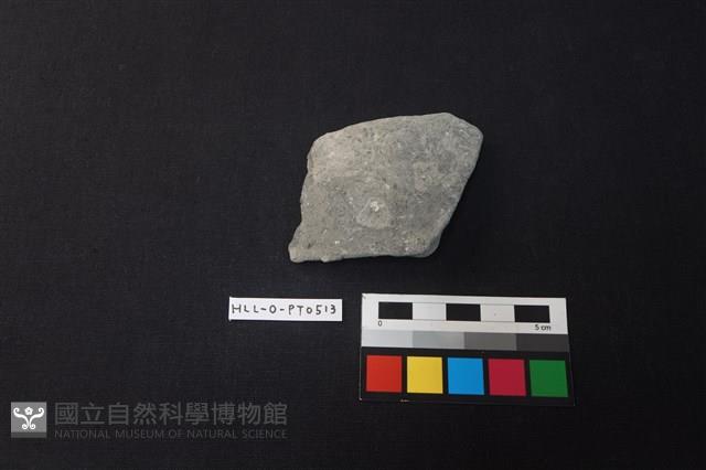 陶片藏品圖，第1張