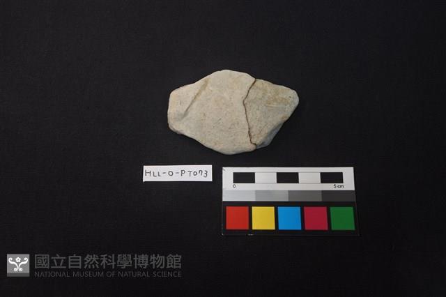 陶片藏品圖，第1張